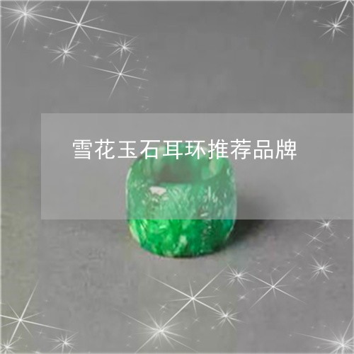 雪花玉石耳环推荐品牌/2023060429170