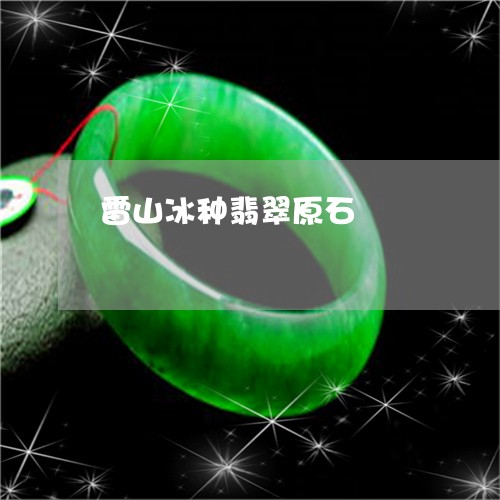 雷山冰种翡翠原石/2023022738371
