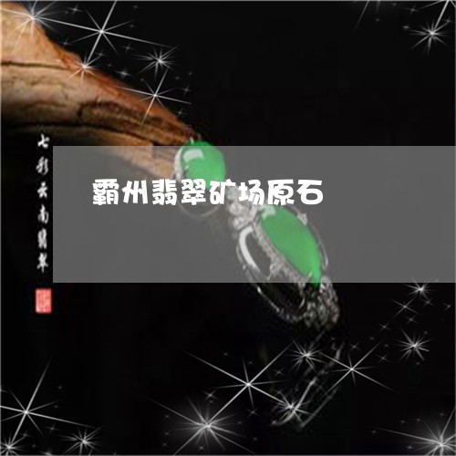 霸州翡翠矿场原石/2023022717503 霸州翡翠矿场原石/2023022717503