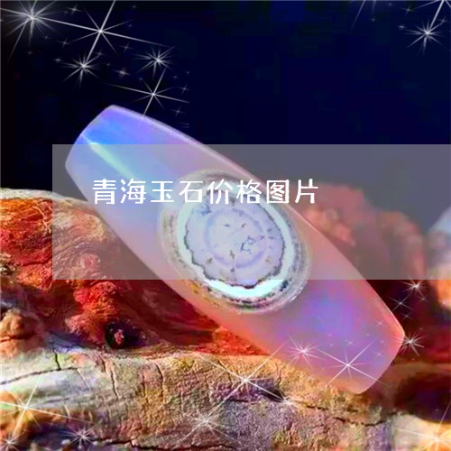 青海玉石价格图片/2023022639504