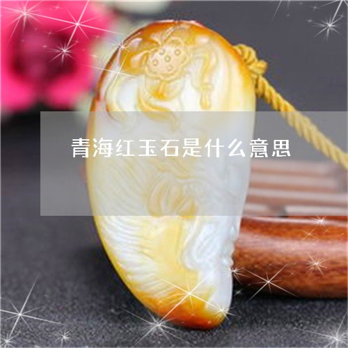 青海红玉石是什么意思/2023060447170