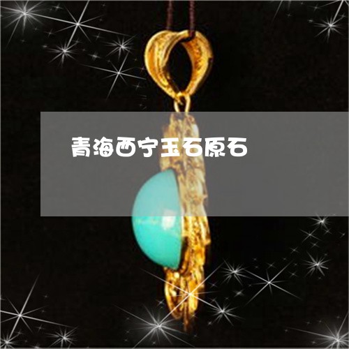 青海西宁玉石原石/2023022666057 青海西宁玉石原石/2023022666057