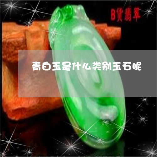 青白玉是什么类别玉石呢/2023061871484