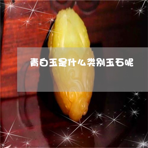 青白玉是什么类别玉石呢/2023061895268