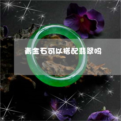 青金石可以搭配翡翠吗/2023060305927