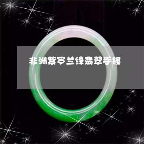 非洲紫罗兰绿翡翠手镯/2023060483706