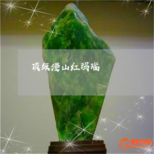 顶级漫山红玛瑙/2023032130250