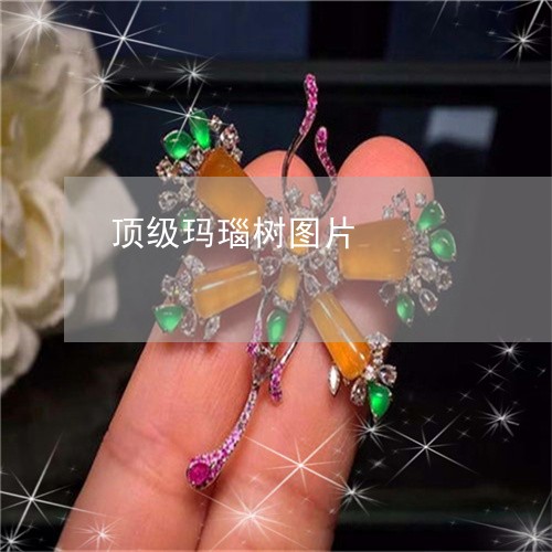 顶级玛瑙树图片/2023032158302