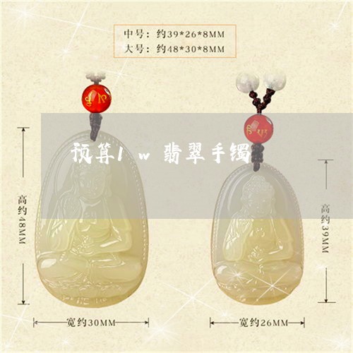 预算1w翡翠手镯/2023022640724