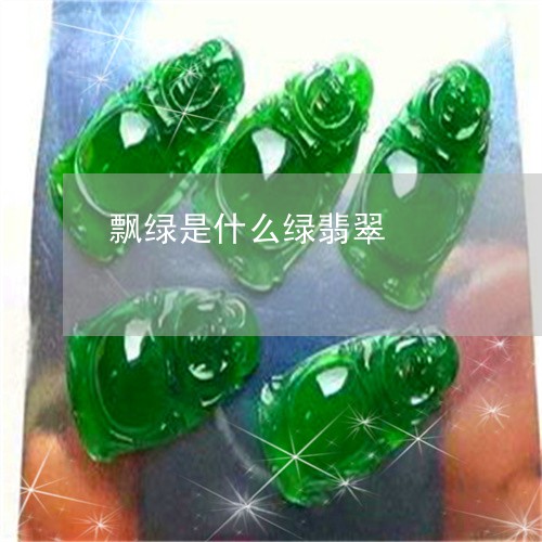 飘绿是什么绿翡翠/2023022640814