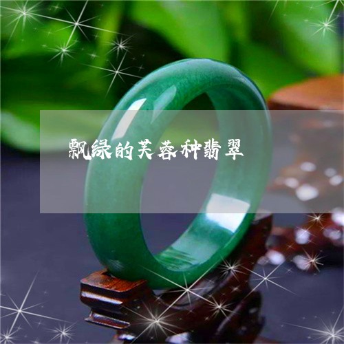 飘绿的芙蓉种翡翠/2023022603614