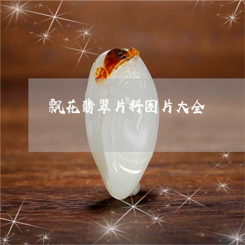 飘花翡翠片料图片大全/2023060432693