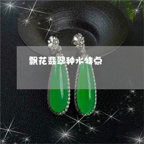 飘花翡翠种水特点/2023022602826