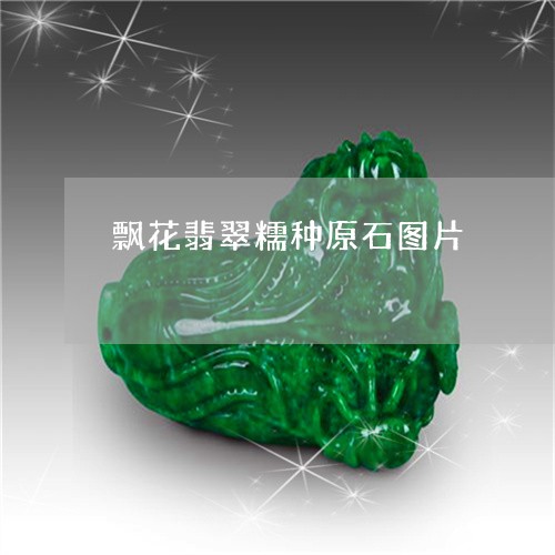 飘花翡翠糯种原石图片/2023060464938 飘花翡翠糯种原石图片/2023060464938