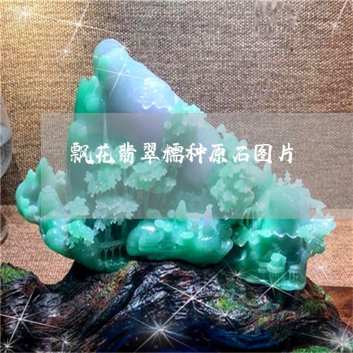 飘花翡翠糯种原石图片/2023060493795 飘花翡翠糯种原石图片/2023060493795