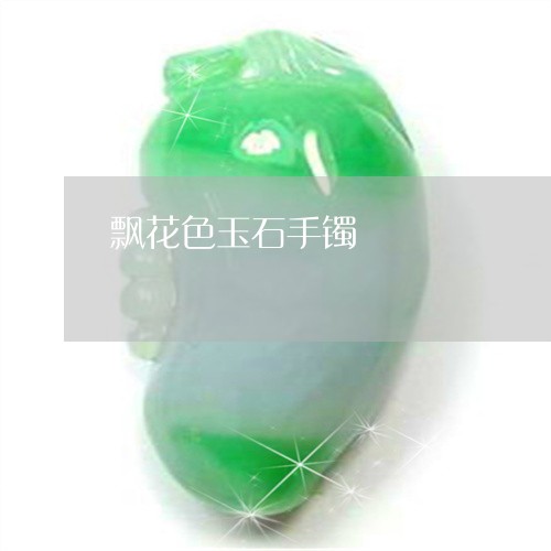 飘花色玉石手镯/2023032128252 飘花色玉石手镯/2023032128252