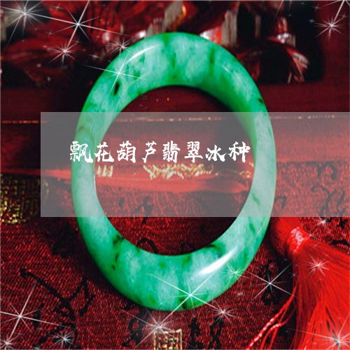 飘花葫芦翡翠冰种/2023022632925 飘花葫芦翡翠冰种/2023022632925