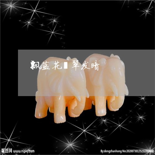 飘蓝花翡翠发暗/2023032164016