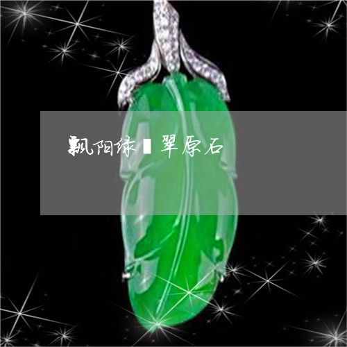 飘阳绿翡翠原石/2023032159272