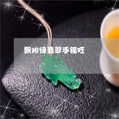 飘阳绿翡翠手镯胚/2023022615048