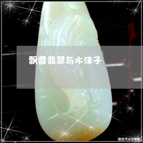 飘雪翡翠与水沫子/2023022661617 飘雪翡翠与水沫子/2023022661617