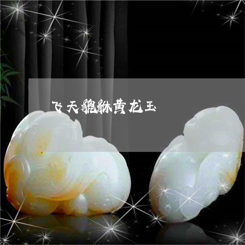飞天貔貅黄龙玉/2023032193604 飞天貔貅黄龙玉/2023032193604