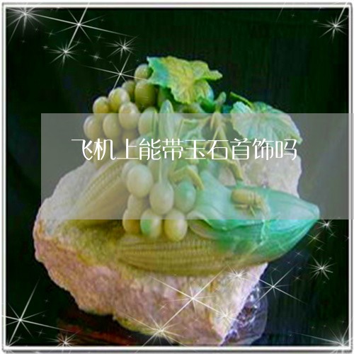 飞机上能带玉石首饰吗/2023060425159 飞机上能带玉石首饰吗/2023060425159