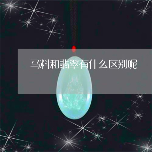 马料和翡翠有什么区别呢/2023062748269