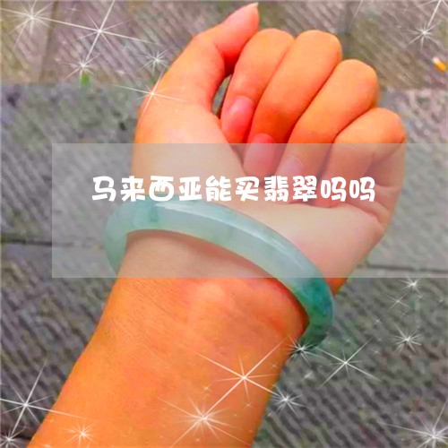 马来西亚能买翡翠吗吗/2023060419359 马来西亚能买翡翠吗吗/2023060419359