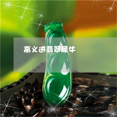 高义进翡翠犀牛/2023032194739 高义进翡翠犀牛/2023032194739
