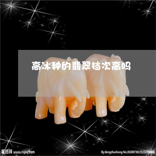 高冰种的翡翠档次高吗/2023060426970 高冰种的翡翠档次高吗/2023060426970