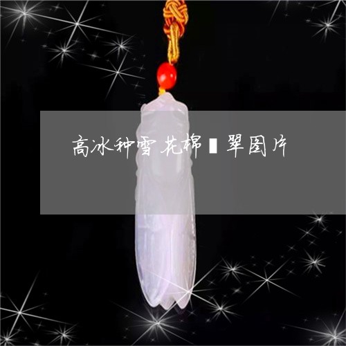 高冰种雪花棉翡翠图片/2023060418157