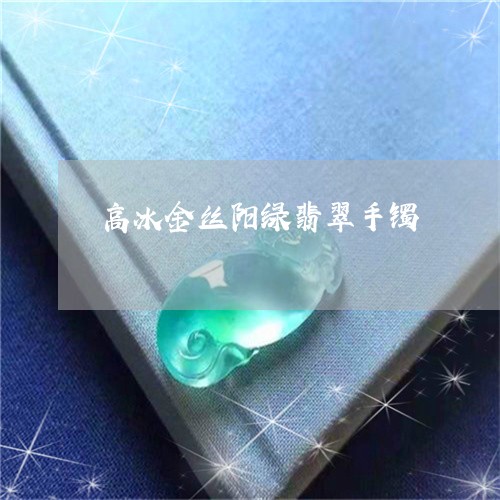 高冰金丝阳绿翡翠手镯/2023061626350