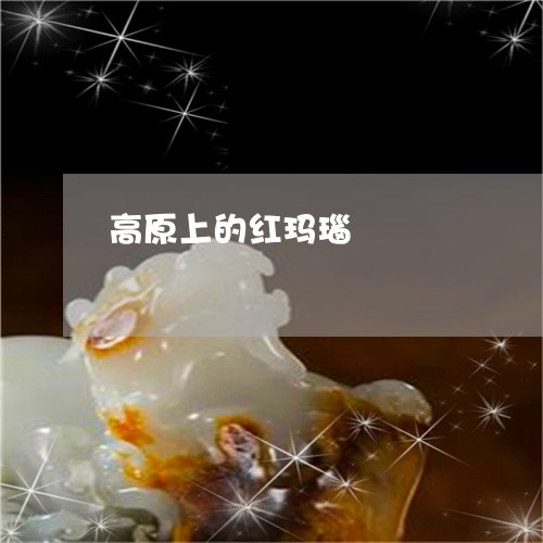 高原上的红玛瑙/2023032184705 高原上的红玛瑙/2023032184705