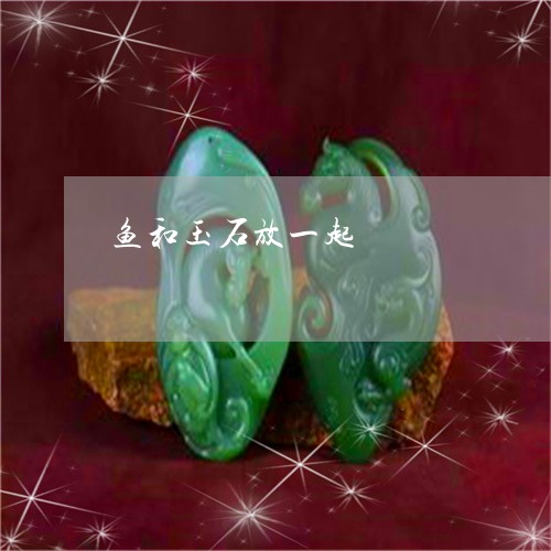 鱼和玉石放一起/2023032137271 鱼和玉石放一起/2023032137271