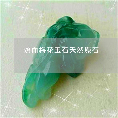 鸡血梅花玉石天然原石/2023060332383