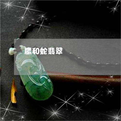 鹰和蛇翡翠/2023071261505