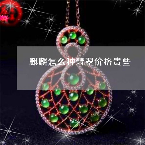 麒麟怎么种翡翠价格贵些/2023061826015