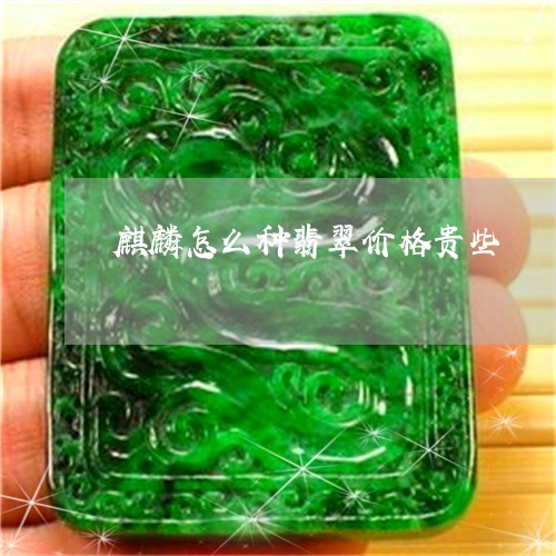 麒麟怎么种翡翠价格贵些/2023061854936