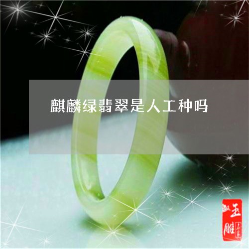 麒麟绿翡翠是人工种吗/2023060385916