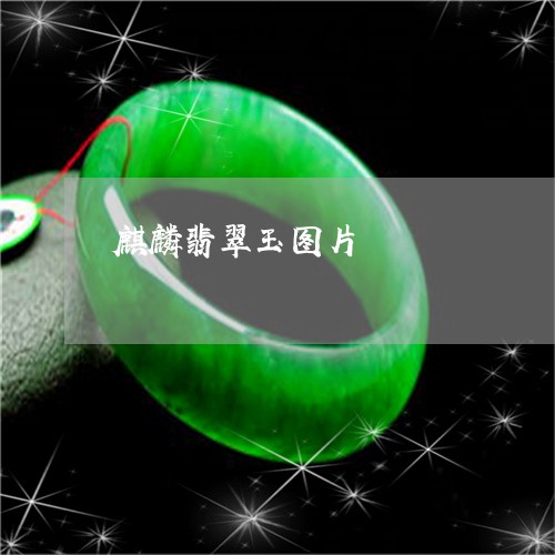 麒麟翡翠玉图片/2023032261464 麒麟翡翠玉图片/2023032261464