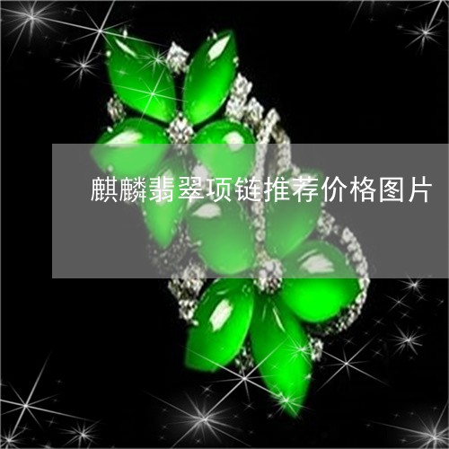 麒麟翡翠项链推荐价格图片/2023062885037