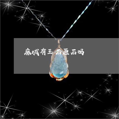 麻城有玉石原石吗/2023022689372