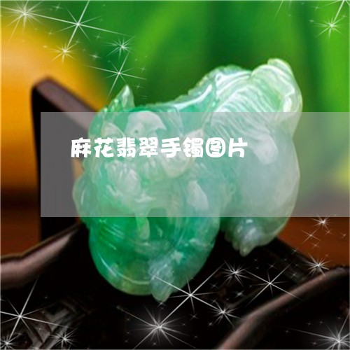 麻花翡翠手镯图片/2023022639273
