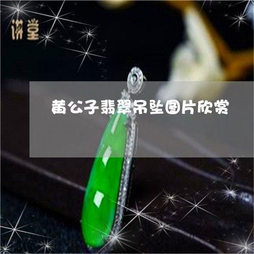 黄公子翡翠吊坠图片欣赏/2023071093818