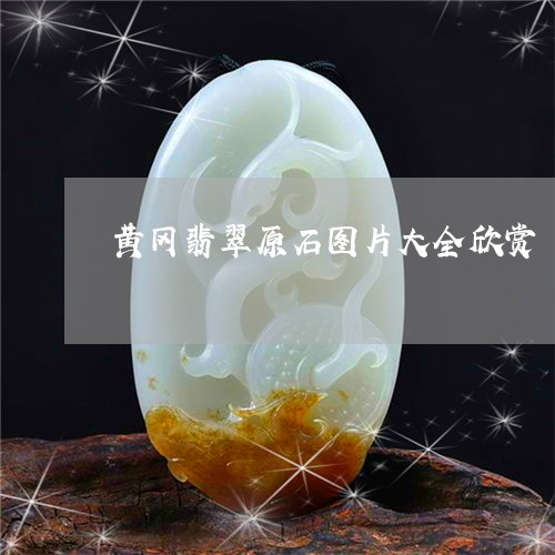黄冈翡翠原石图片大全欣赏/2023061940514 黄冈翡翠原石图片大全欣赏/2023061940514