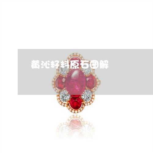 黄沁籽料原石图解/2023022634371