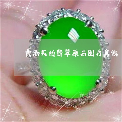 黄渤买的翡翠原石图片真假/2023061944738 黄渤买的翡翠原石图片真假/2023061944738
