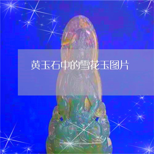 黄玉石中的雪花玉图片/2023060327179