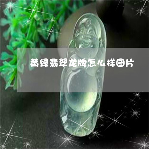 黄绿翡翠龙牌怎么样图片/2023061892804